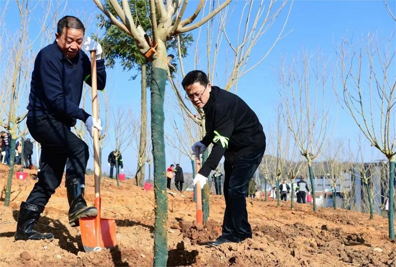 2、植樹(shù)現(xiàn)場(chǎng)。