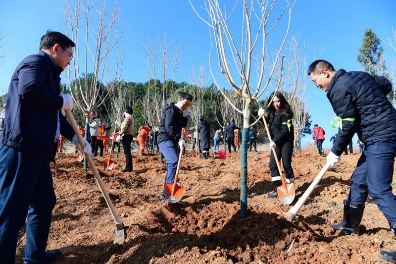3、植樹(shù)現(xiàn)場(chǎng)。