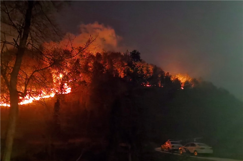圖為：蔣某某在開陽縣紫興街道魚上村拐己組焚燒玉米桿引發(fā)山火及指認現(xiàn)場 (1).jpg