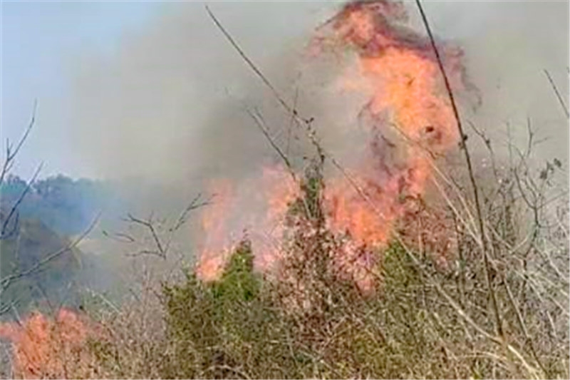 圖為饒某某在開(kāi)陽(yáng)縣龍崗鎮(zhèn)龍崗二村梨坡組石牛山燃放鞭炮引發(fā)山火 (3).jpg