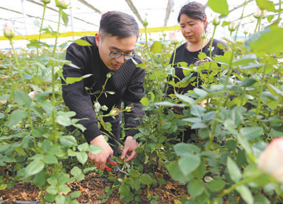圖為葉傳增（左）在學習田間管護。