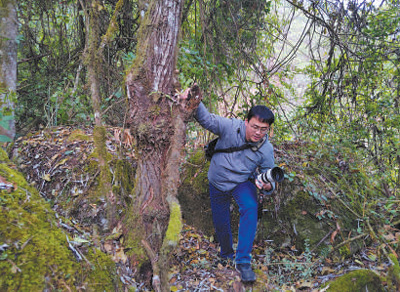 圖為徐馭堯在密林中穿行。