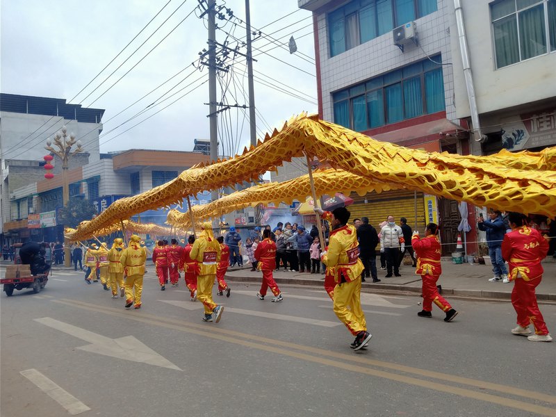 龍燈隊(duì)伍。付躍飛攝
