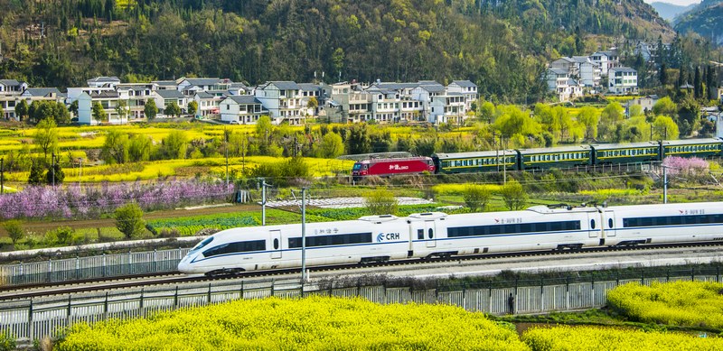 1 上春山、享春意！袁琴書  攝.jpg