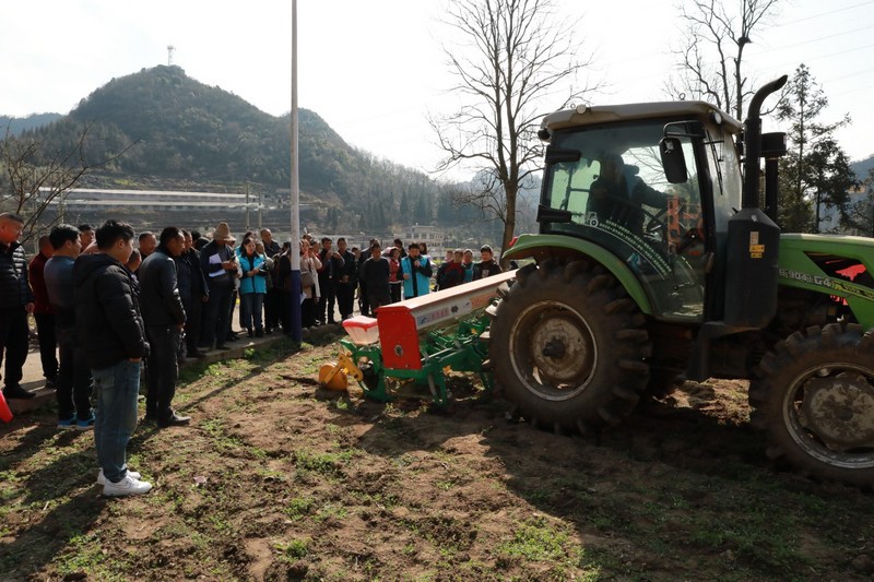 犁倭鎮周家橋村村民觀摩規范種植。任芳靚 攝.jpg