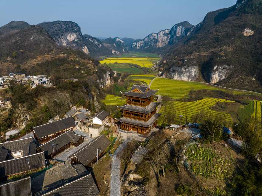 萬畝油菜花競相綻放。羅大富攝