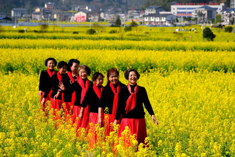 6、游客在油菜花田間游玩.。李珊珊 攝..JPG