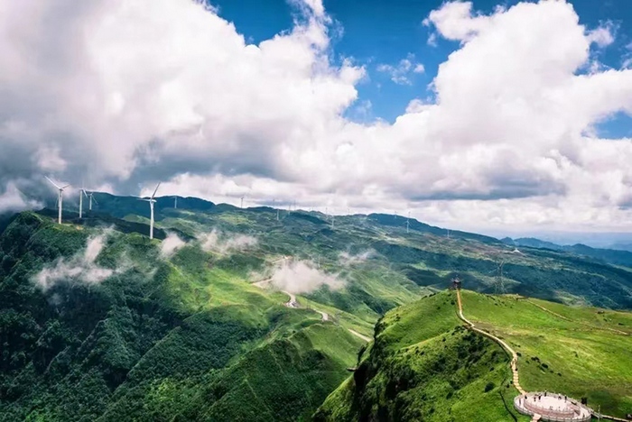 3 柏能新能源與六盤(pán)水?dāng)y手開(kāi)發(fā)全域林業(yè)碳匯項(xiàng)目.jpg