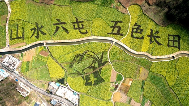修文縣六屯鎮(zhèn)長田村2000多畝高標(biāo)準(zhǔn)農(nóng)田“山水六屯 五色長田”字樣航拍 。查姜維 攝.jpeg