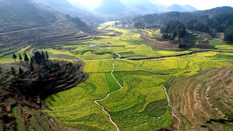 修文縣六屯鎮(zhèn)長田村2000多畝高標(biāo)準(zhǔn)農(nóng)田航拍 。查姜維 攝.jpeg