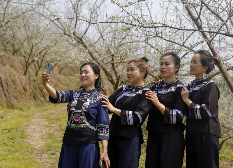 2024年3月12日，游客在貴州省黔南布依族苗族自治州羅甸縣羅悃鎮(zhèn)李子基地賞花、拍照。