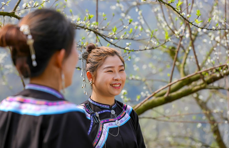 2024年3月12日，游客在貴州省黔南布依族苗族自治州羅甸縣羅悃鎮李子基地賞花、拍照。