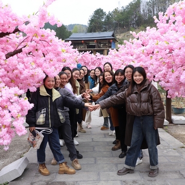 賞花、探秘……