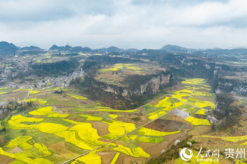 航拍貴州省清鎮(zhèn)市流長苗族鄉(xiāng)春色。人民網記者 涂敏攝