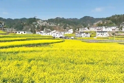 與春天來一次浪漫約會(huì)