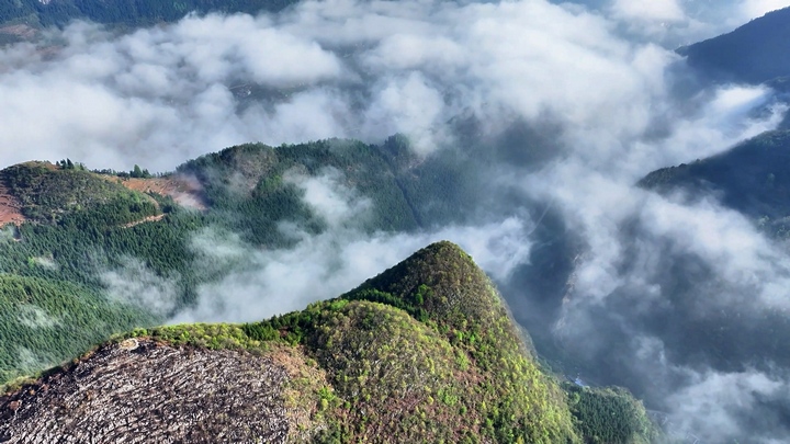 貴州納雍出現云海奇觀，宛如仙境。