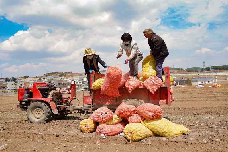 3月31日,在威寧自治縣觀風海鎮全程機械化馬鈴薯種薯擴繁基地,農機在耕種馬鈴薯。趙偉攝