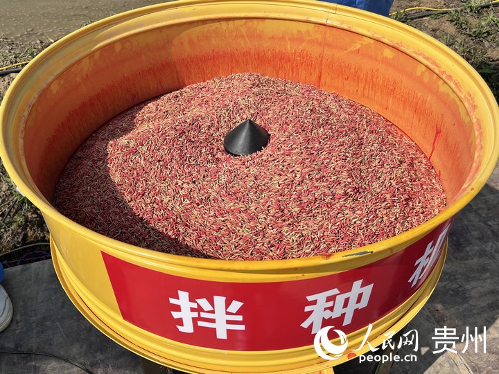貴陽市堰塘村農機作業現場,拌種機正在運轉。人民網 陳潔泉攝