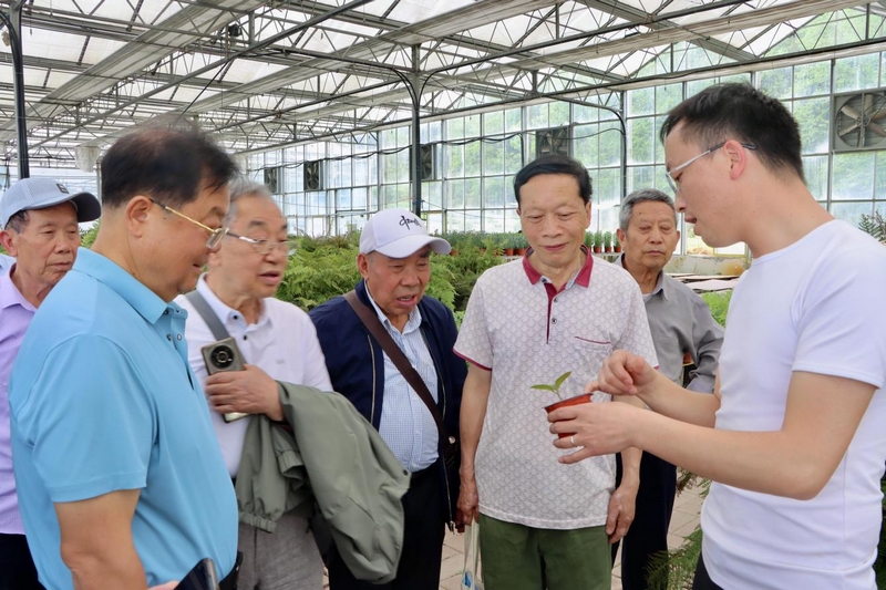 瑞禾集團有關負責同志現場作育苗講解。