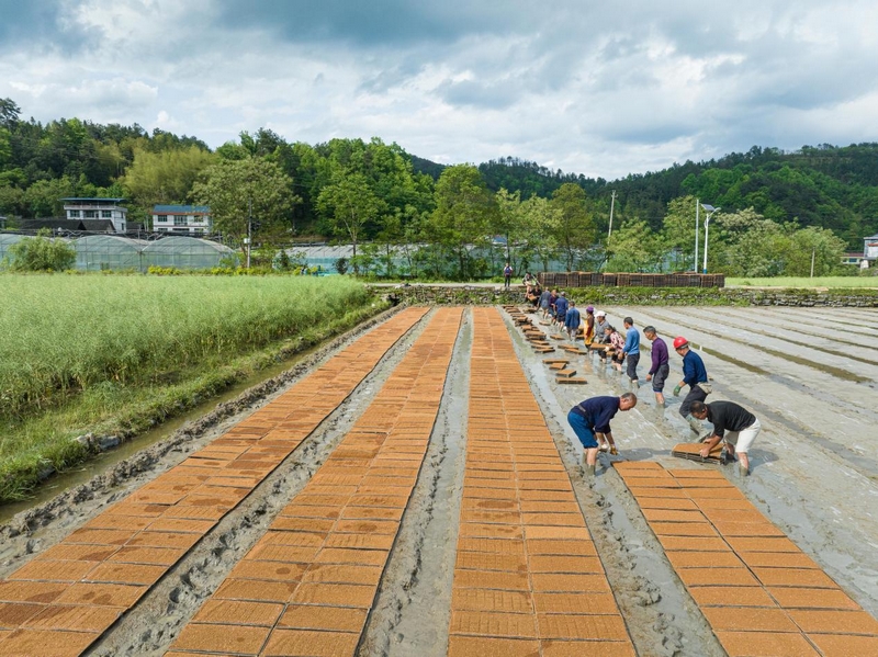萬山農機助春耕,農業更高效。