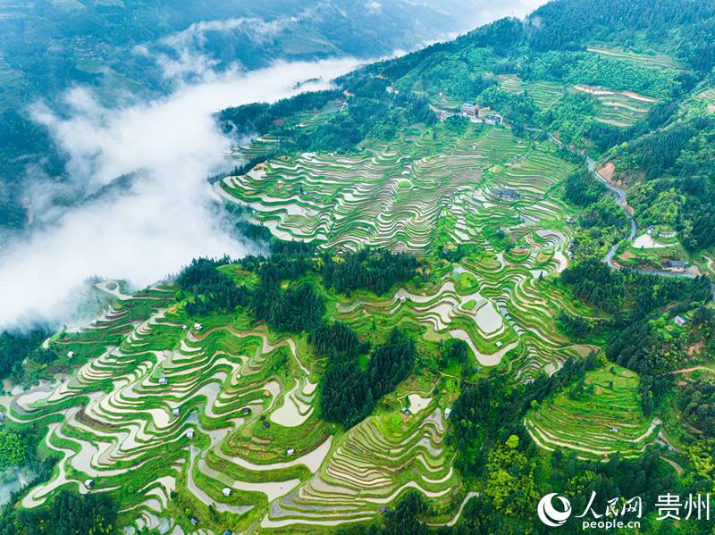 1、航拍貴州省從江縣加榜梯田。人民網 陽茜攝