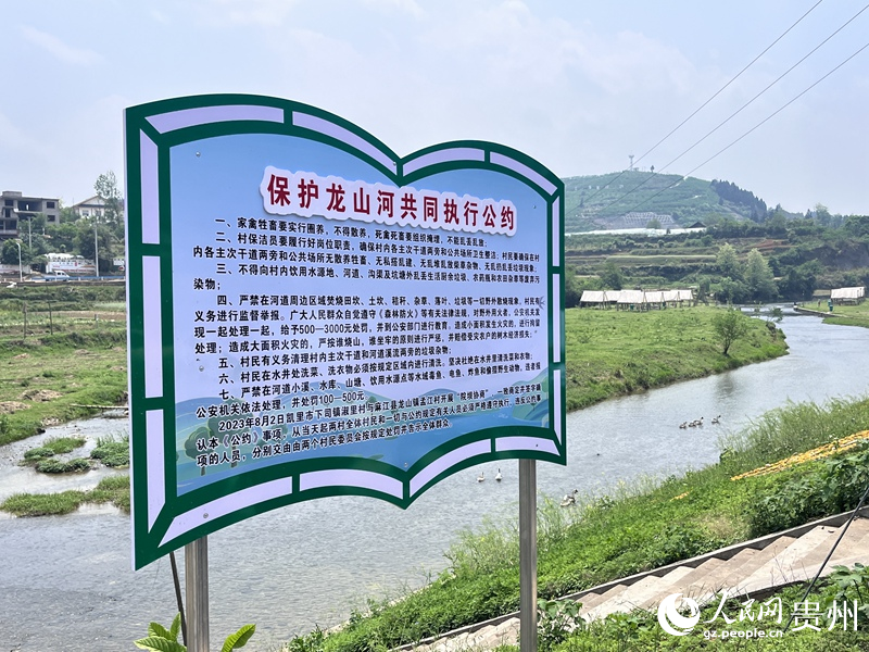 立在龍山河岸邊的公約持續(xù)“見(jiàn)證”河道舊貌換新，碧水扮靚鄉(xiāng)村。人民網(wǎng) 陳潔泉攝