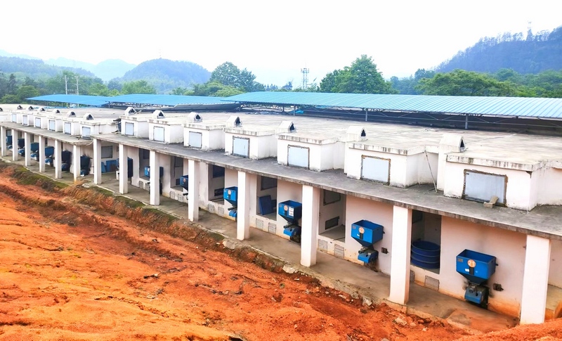 生物質烤房群。楊思琦攝