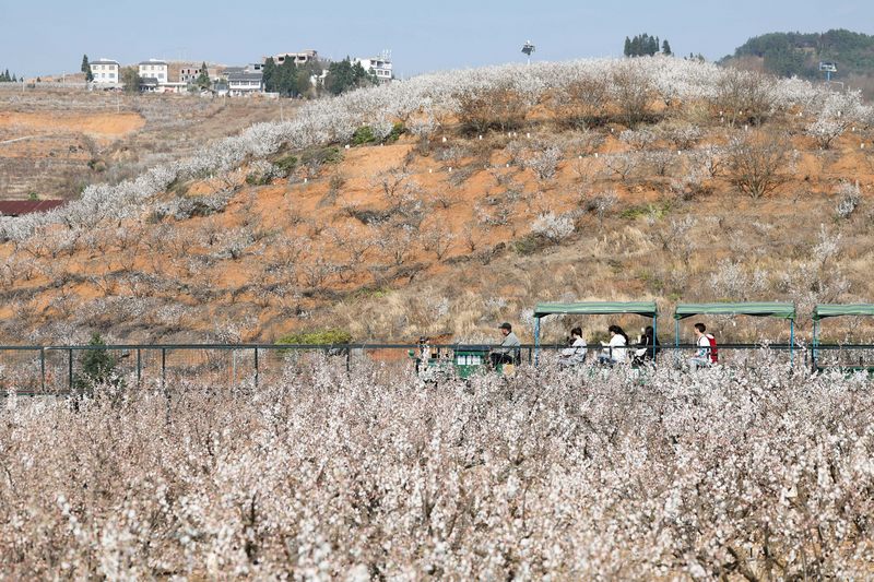 今年春季,陶營村打造的農旅融合配套設施吸引眾多游客體驗。韓賢普攝