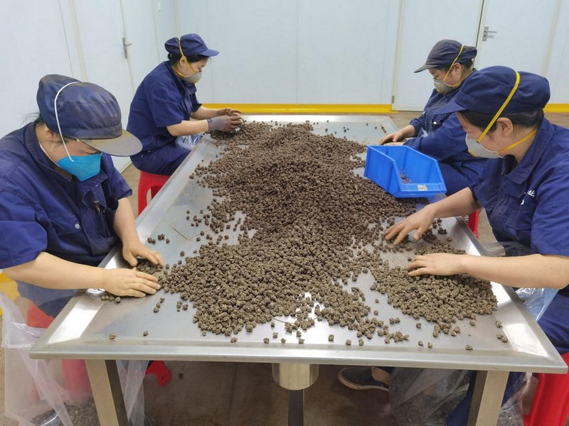 生產線上一派熱鬧景象。