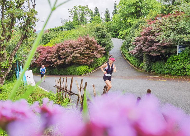 8、跑者經過杉坪景區。 趙軍 攝.