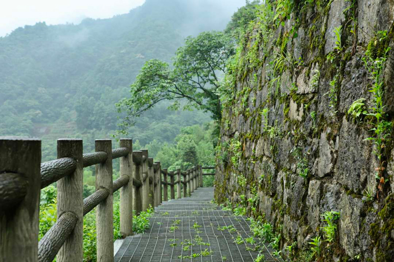 圖為海龍屯遺址。顧蘭云攝