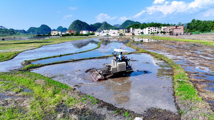 昊禹?稻花鄉里。