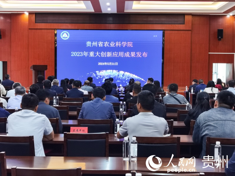 新聞發布會現場。人民網記者 王秀芳攝