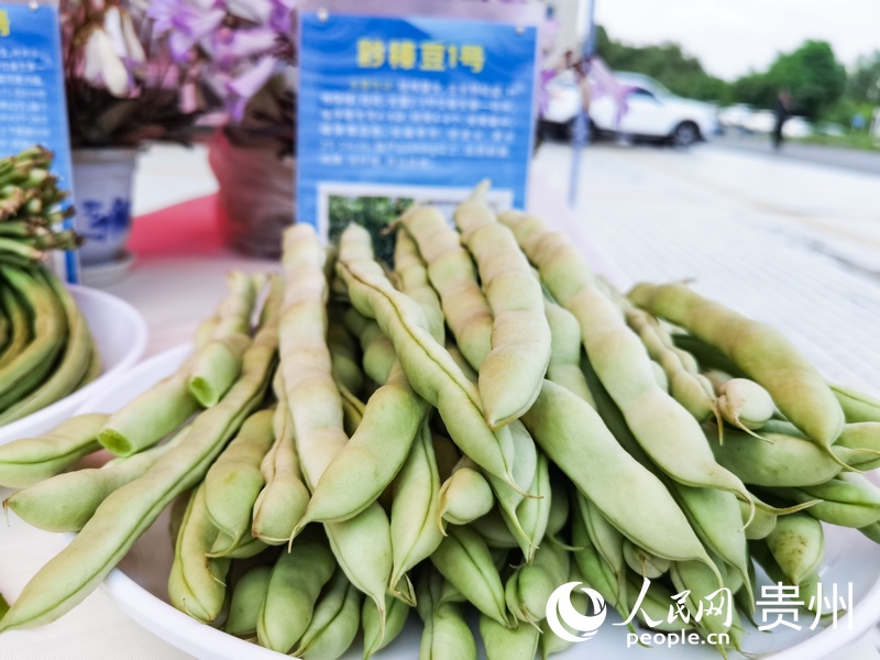 創新成果展示。人民網記者 王秀芳攝