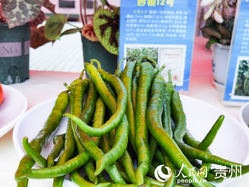 創新成果展示。人民網記者 王秀芳攝