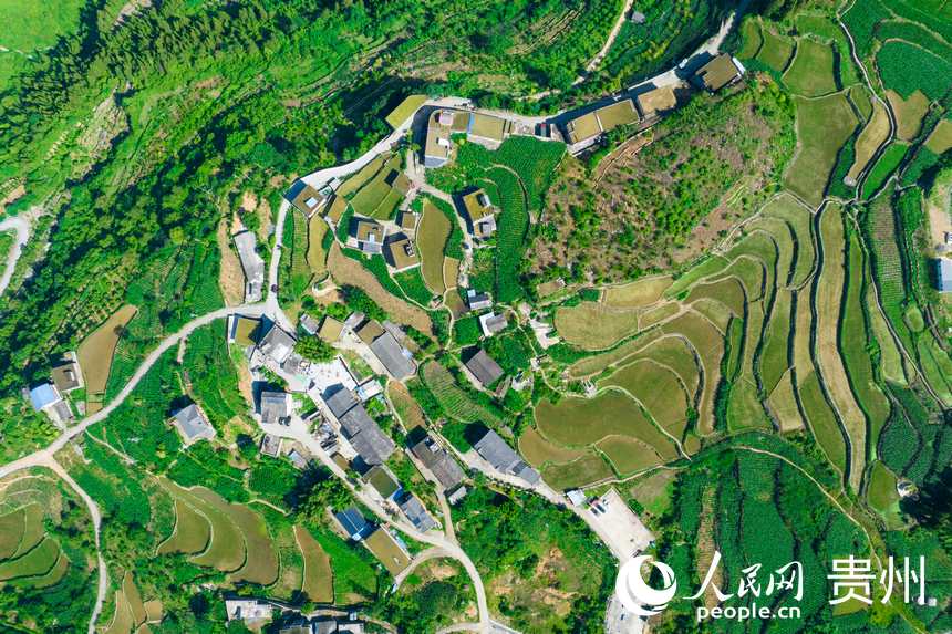 航拍貴州省畢節市七星關區生機鎮高流村。人民網記者 涂敏攝