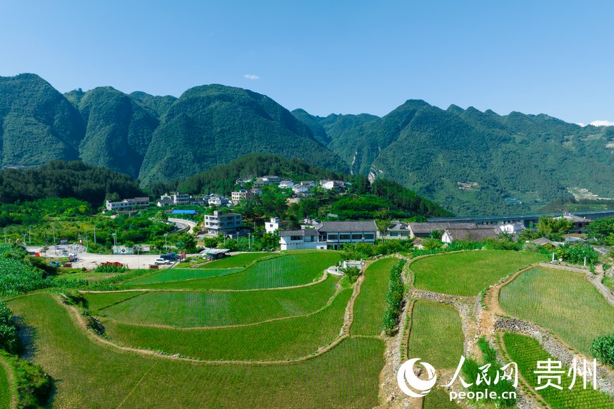 航拍貴州省畢節市七星關區生機鎮高流村。人民網記者 涂敏攝