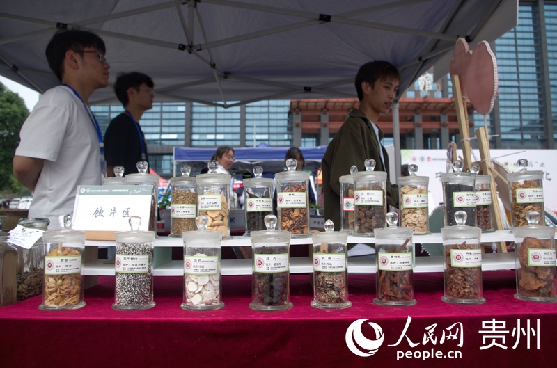 活動現場。人民網 龍章榆攝