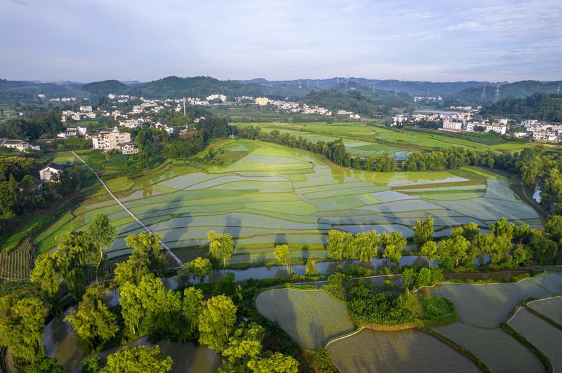 貴州黔西：仲夏田園美如畫。