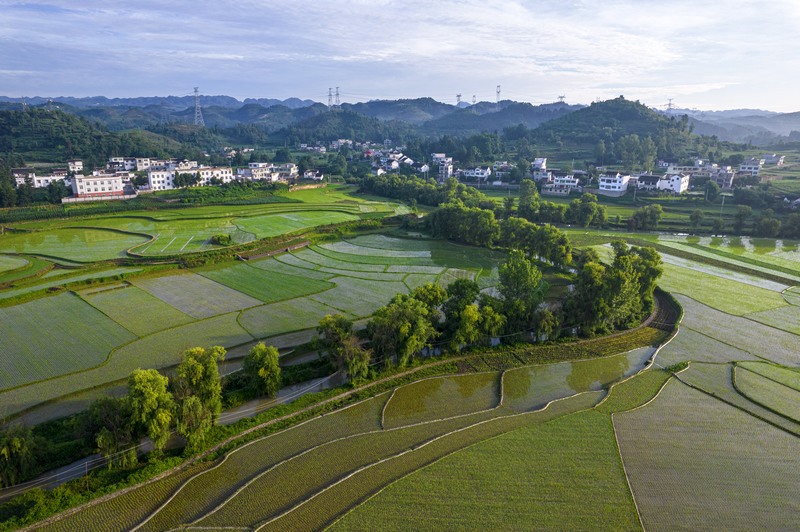 貴州黔西：仲夏田園美如畫。