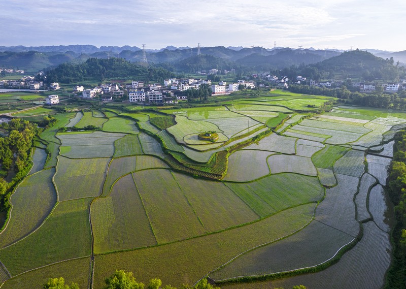 貴州黔西：仲夏田園美如畫。