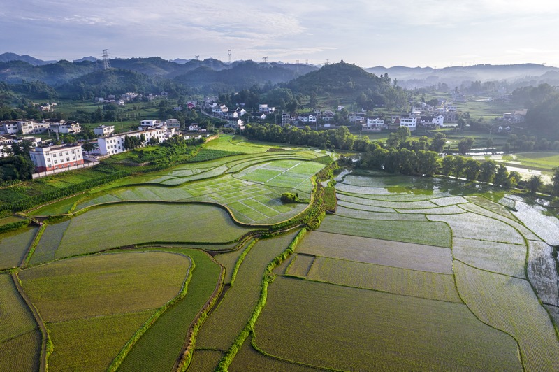 貴州黔西：仲夏田園美如畫。