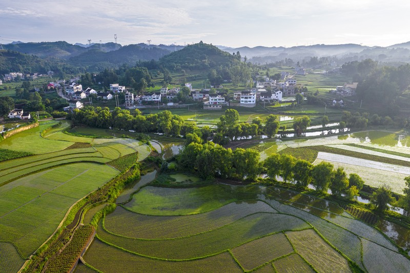 貴州黔西：仲夏田園美如畫。