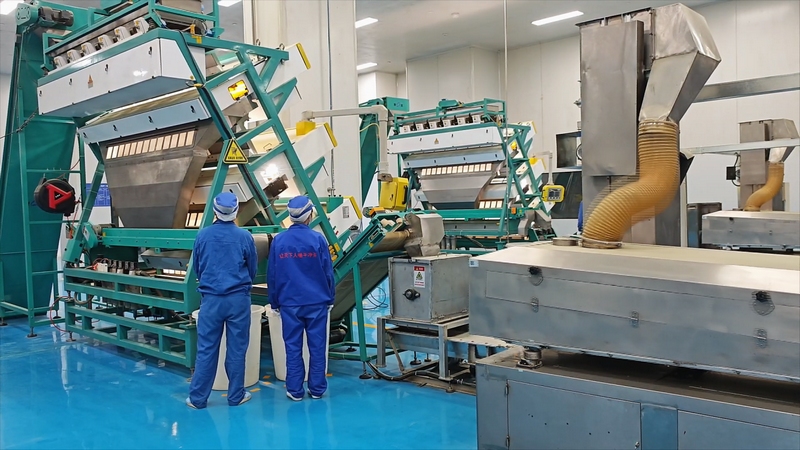 抹茶全產(chǎn)業(yè)鏈發(fā)展助力鄉(xiāng)村振興。