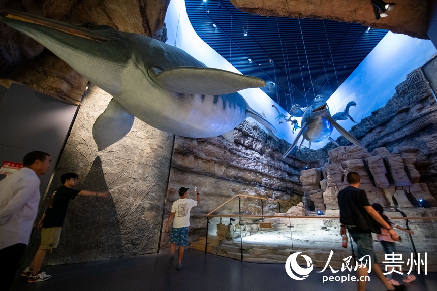 6月21日，在貴州省地質博物館，游客正在參觀游覽。人民網記者 翁奇羽攝