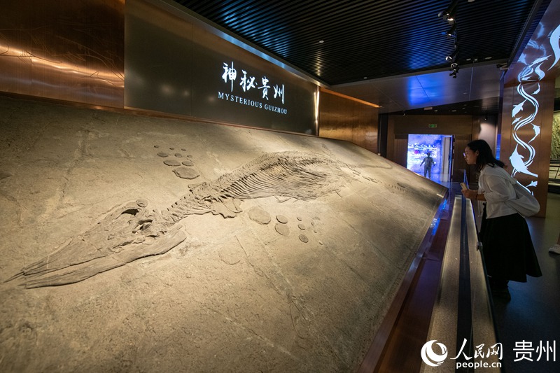 在貴州省地質博物館，游客正在參觀游覽。人民網記者 翁奇羽攝