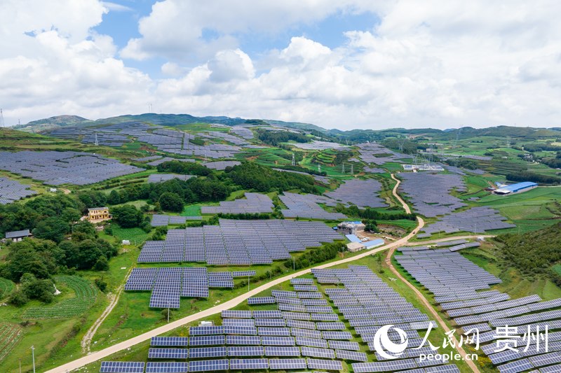 在陽光照耀下,成片的光伏“藍海”熠熠生輝。人民網記者 涂敏攝