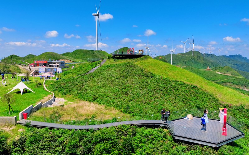 玉簪花云海景區一隅  李杰  攝.jpg