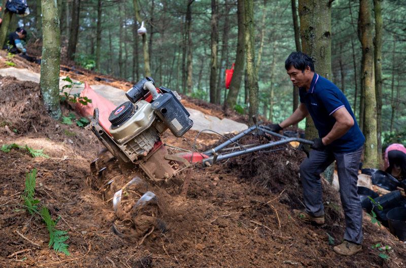 村民用旋耕機翻松土地。李學友攝