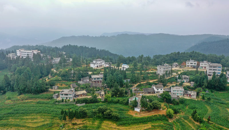 掩映在綠樹叢中的平山鎮農莊村。李學友攝
